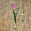 WA-4659pink
