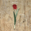 WA-4659red