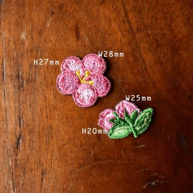 WS-6170