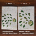 WS-6130set